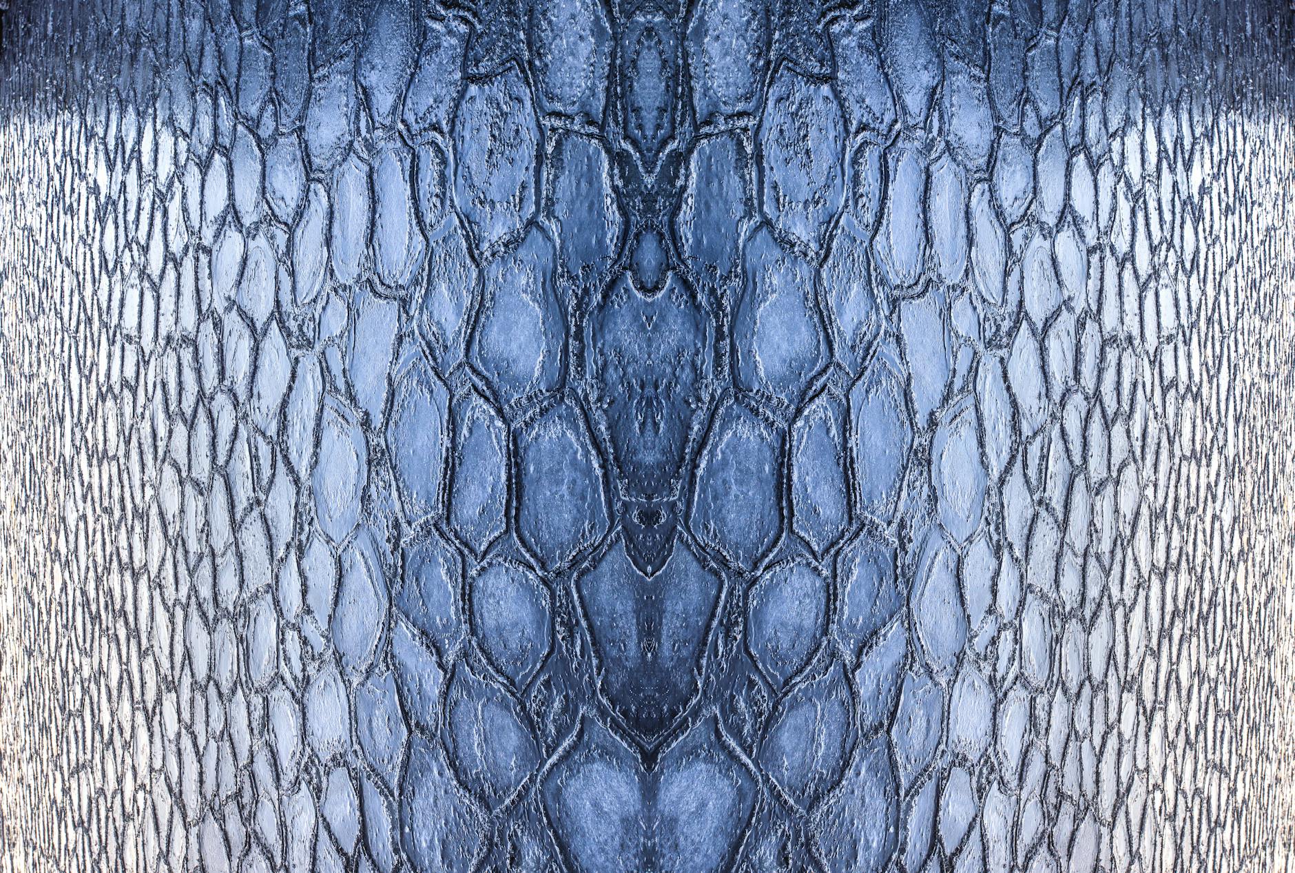 a blue and white snake skin pattern on a wall
