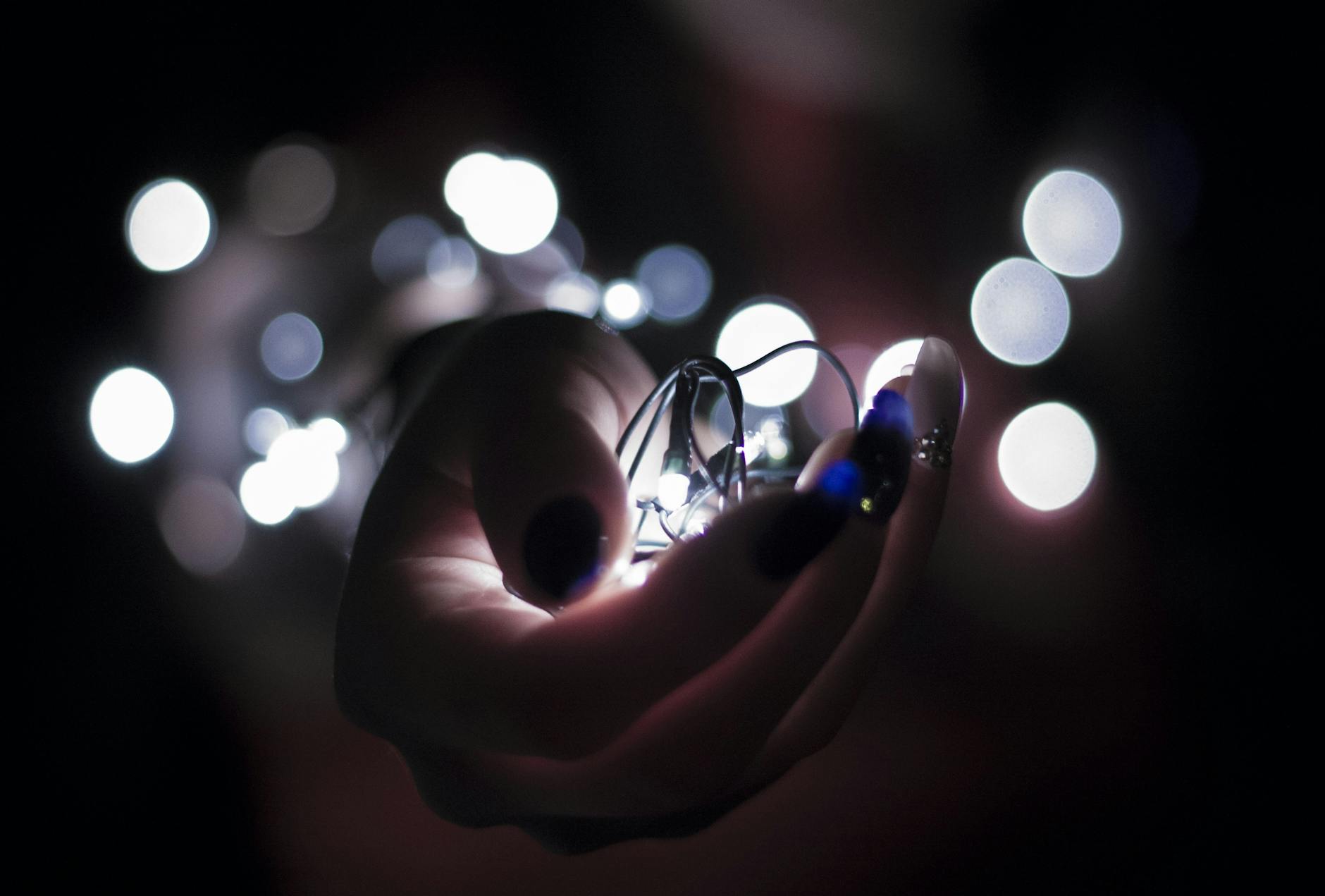 close up photography of person holding white string lights