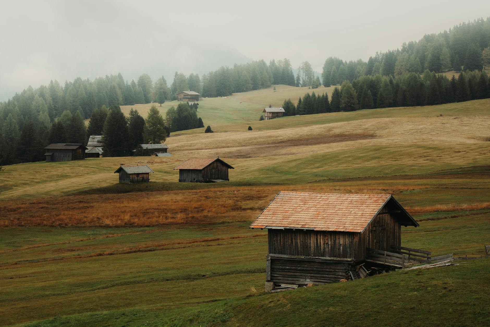 rustic cabin landscape in foggy mountains