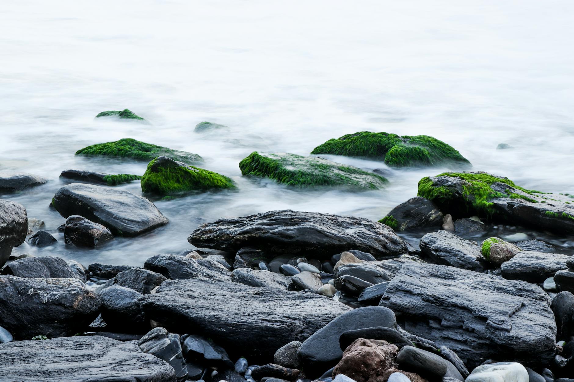 gray rocks with moss