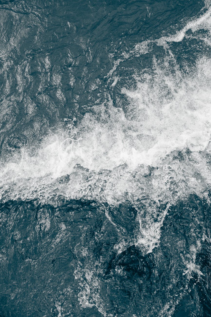 white sea wave