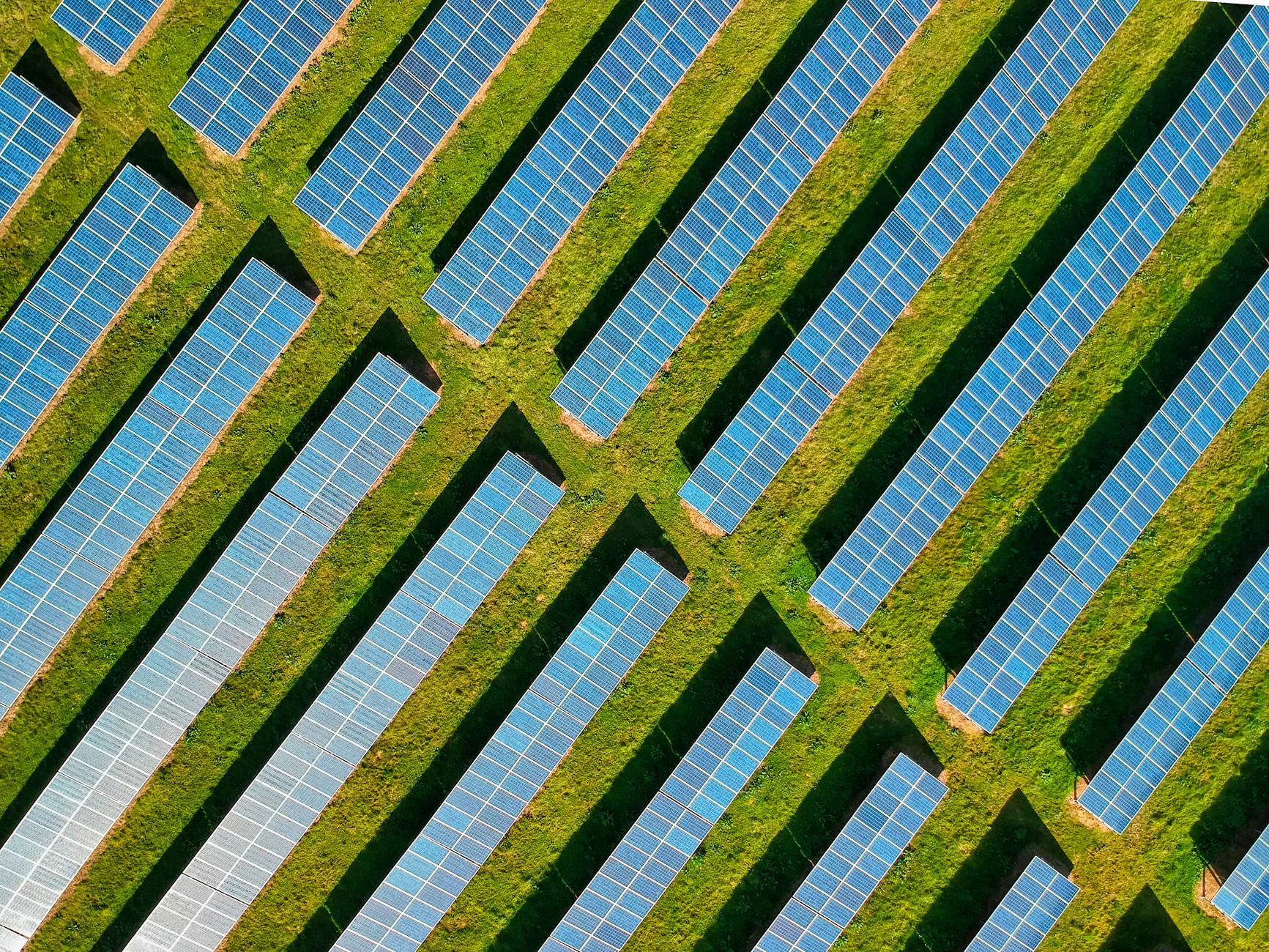 solar panels on a green field